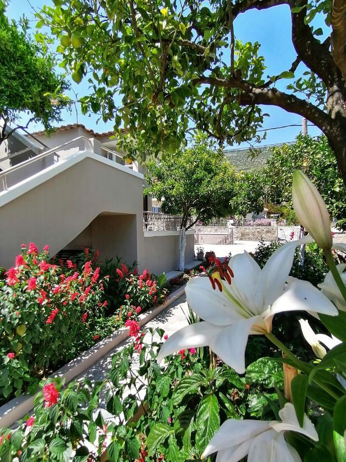 Villa Nikolaou Парга Екстер'єр фото
